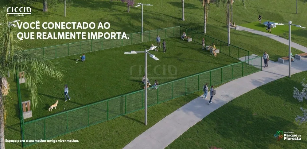 Terreno, 250 m² - Foto 1