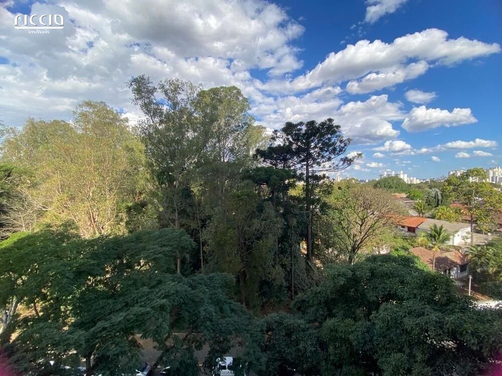 Apartamento, 4 quartos, 240 m² - Foto 22