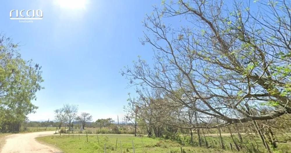 Terreno, 310 hectares - Foto 3