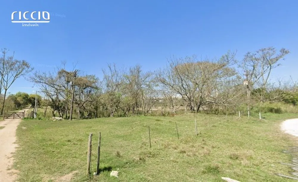 Terreno, 310 hectares - Foto 2