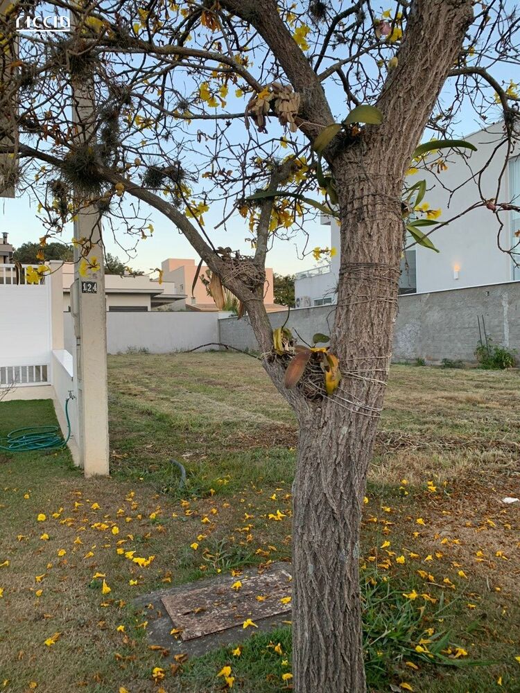 Terreno, 360 m² - Foto 4