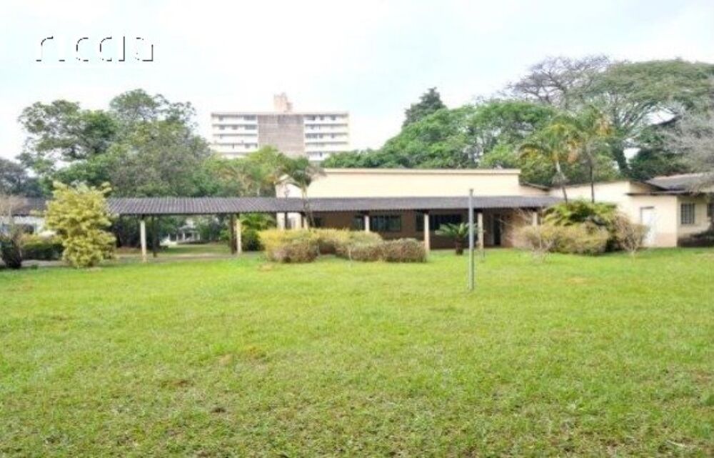 Terreno, 3 hectares - Foto 7