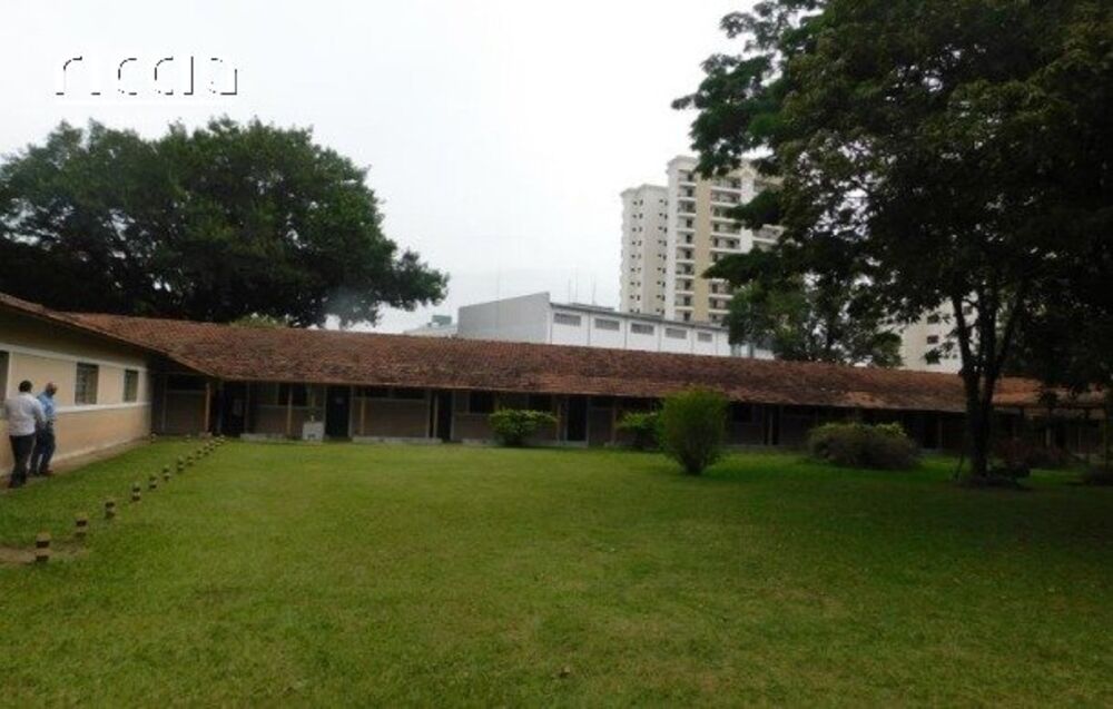 Terreno, 3 hectares - Foto 9