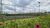 Terreno, 470 m² - Foto 8