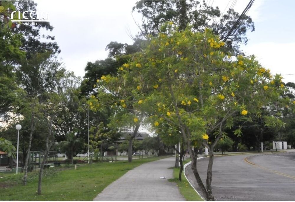 Terreno, 434 m² - Foto 9