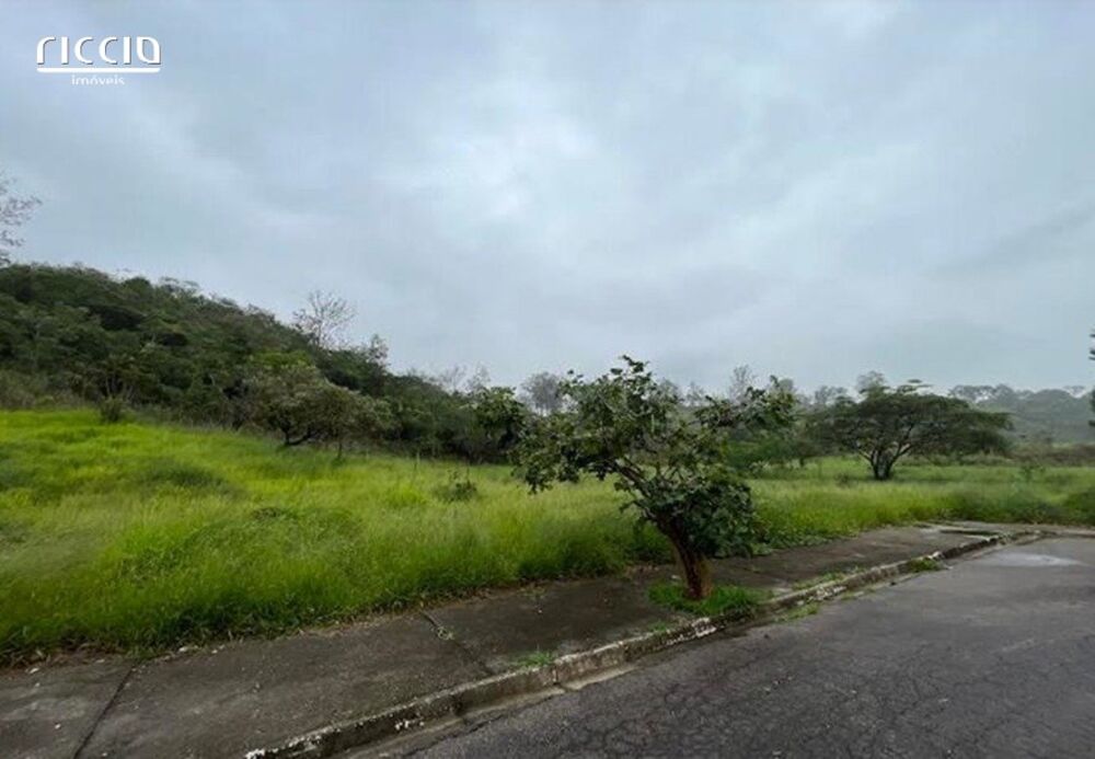 Terreno, 12 hectares - Foto 10