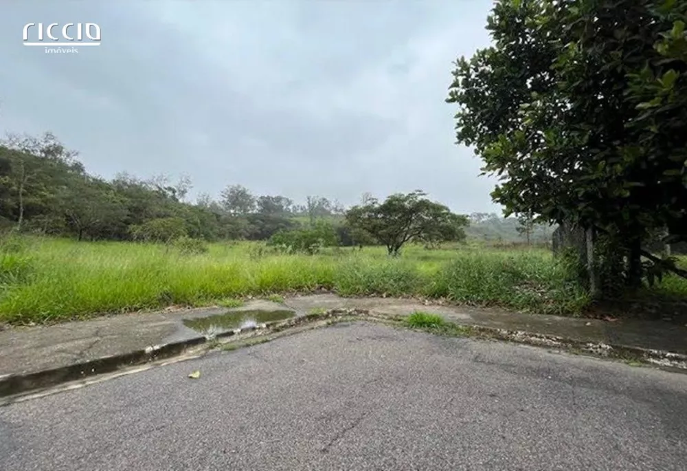 Terreno, 12 hectares - Foto 9