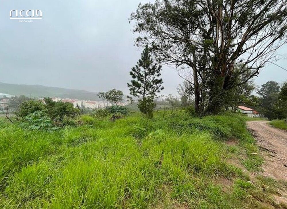 Terreno, 12 hectares - Foto 6