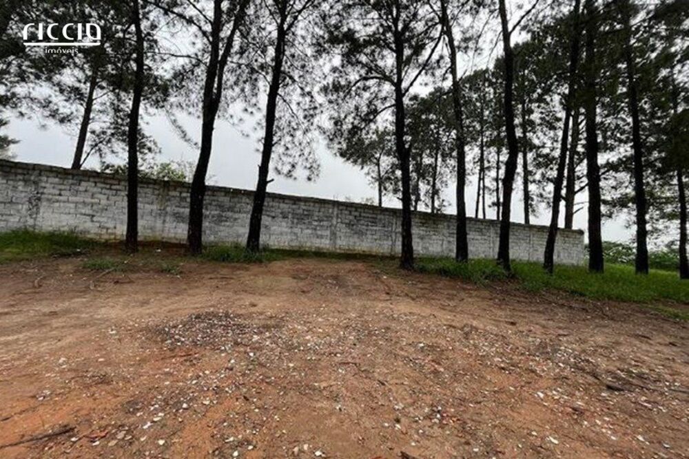 Terreno, 12 hectares - Foto 12