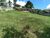 Terreno, 1000 m² - Foto 2
