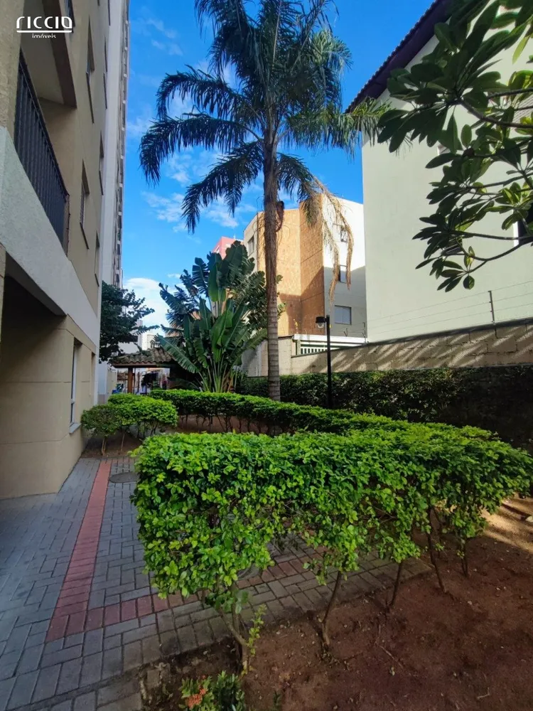 Apartamento, 3 quartos, 65 m² - Foto 1