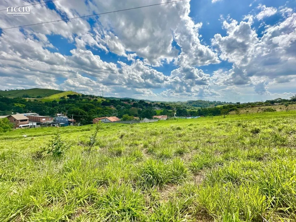 Terreno, 4 hectares - Foto 1