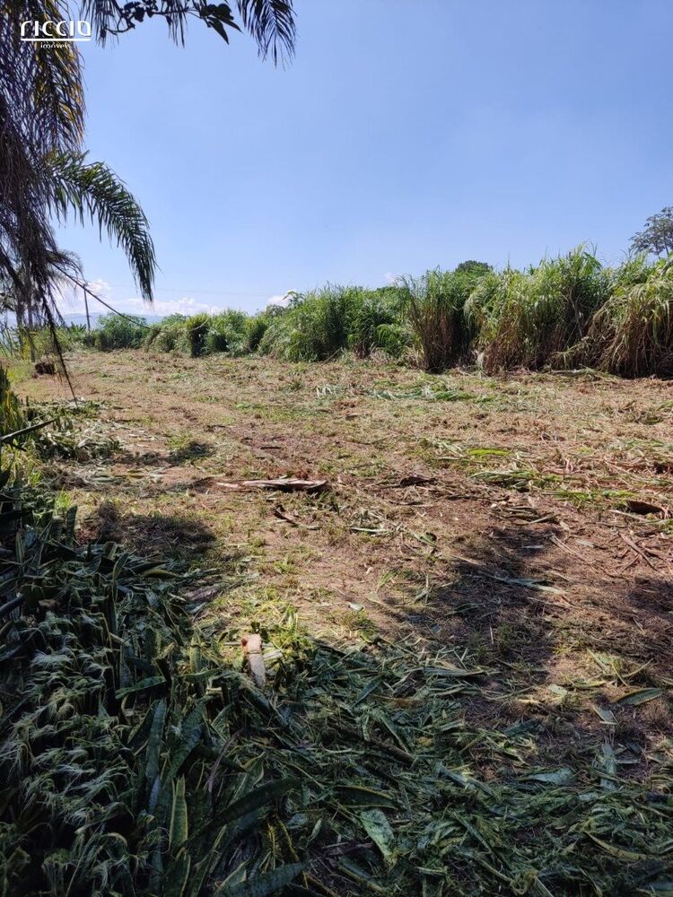 Terreno, 6050 m² - Foto 3