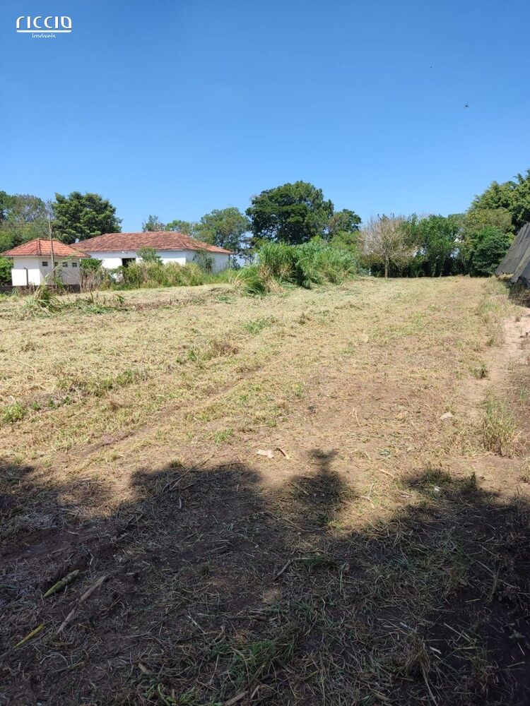 Terreno, 6050 m² - Foto 4