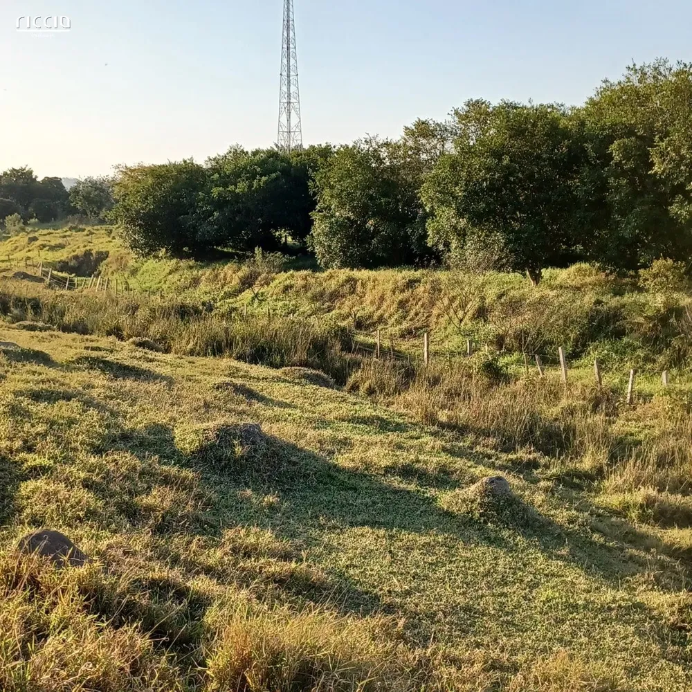Terreno, 2 hectares - Foto 3