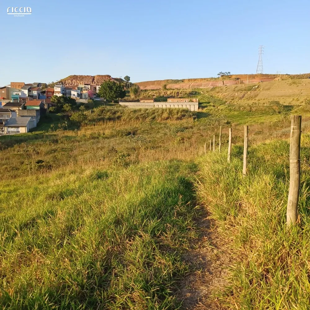 Terreno, 2 hectares - Foto 6