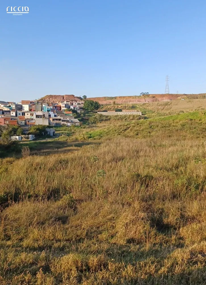 Terreno, 2 hectares - Foto 8