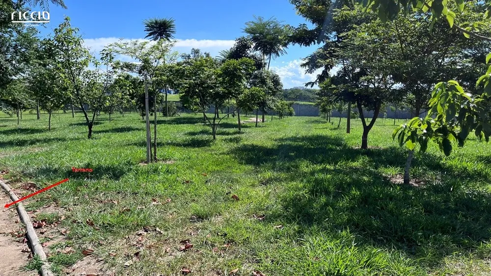 Terreno, 291 m² - Foto 4