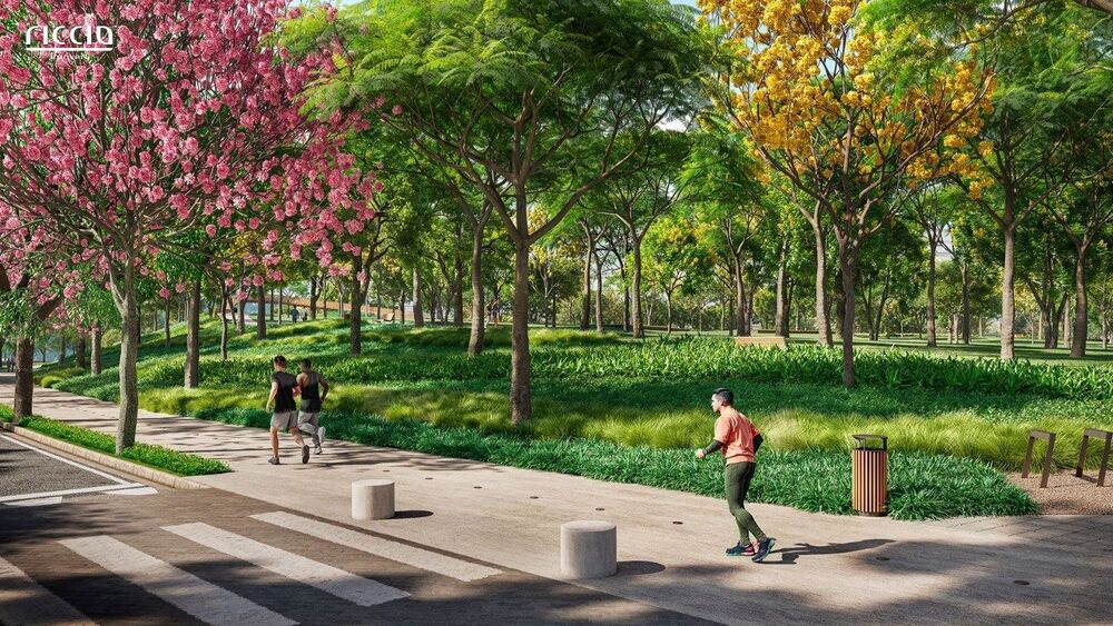 Terreno, 398 m² - Foto 14