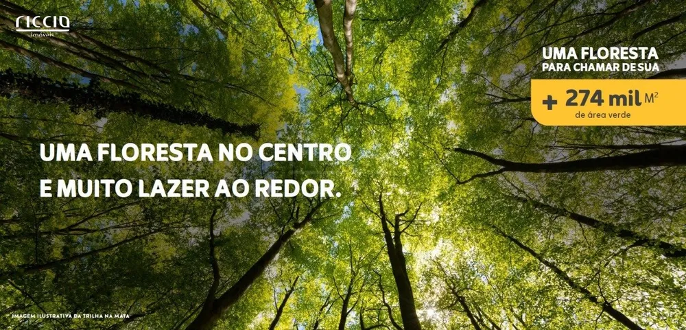 Terreno, 250 m² - Foto 8