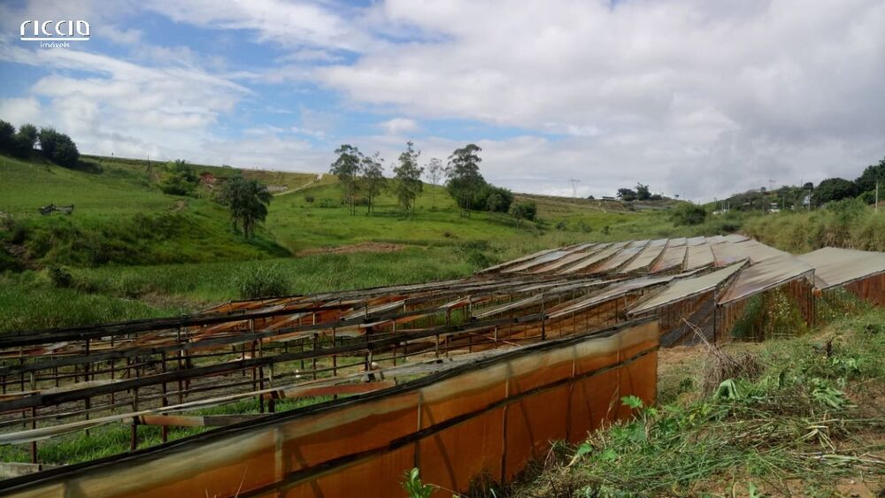 Terreno, 7760 m² - Foto 2