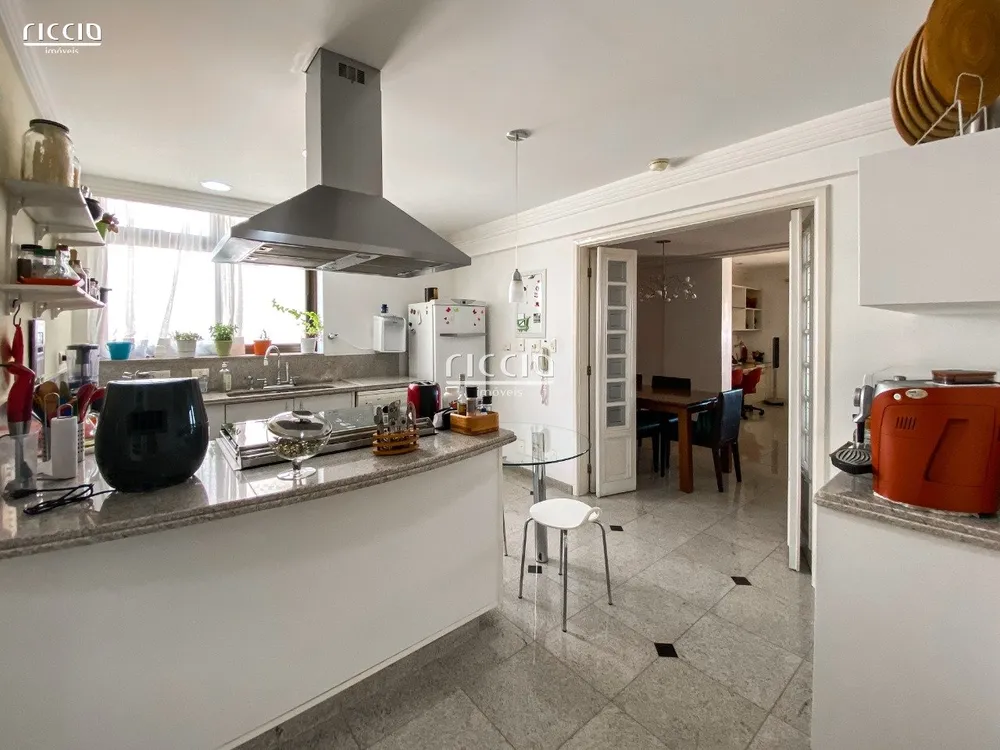 Cobertura, 4 quartos, 265 m² - Foto 6
