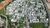 Terreno, 450 m² - Foto 4