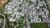 Terreno, 450 m² - Foto 1