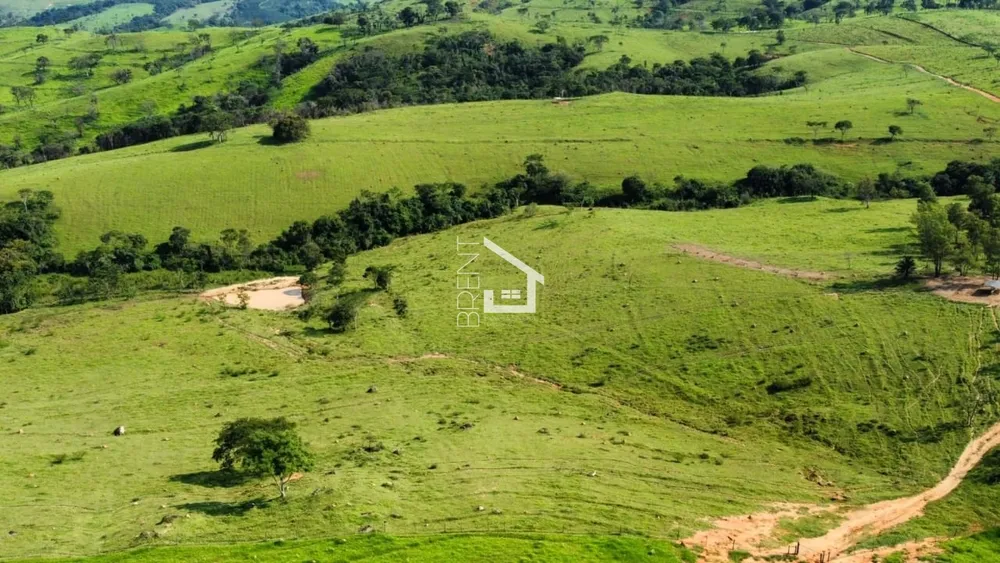 Fazenda, 528 hectares - Foto 7
