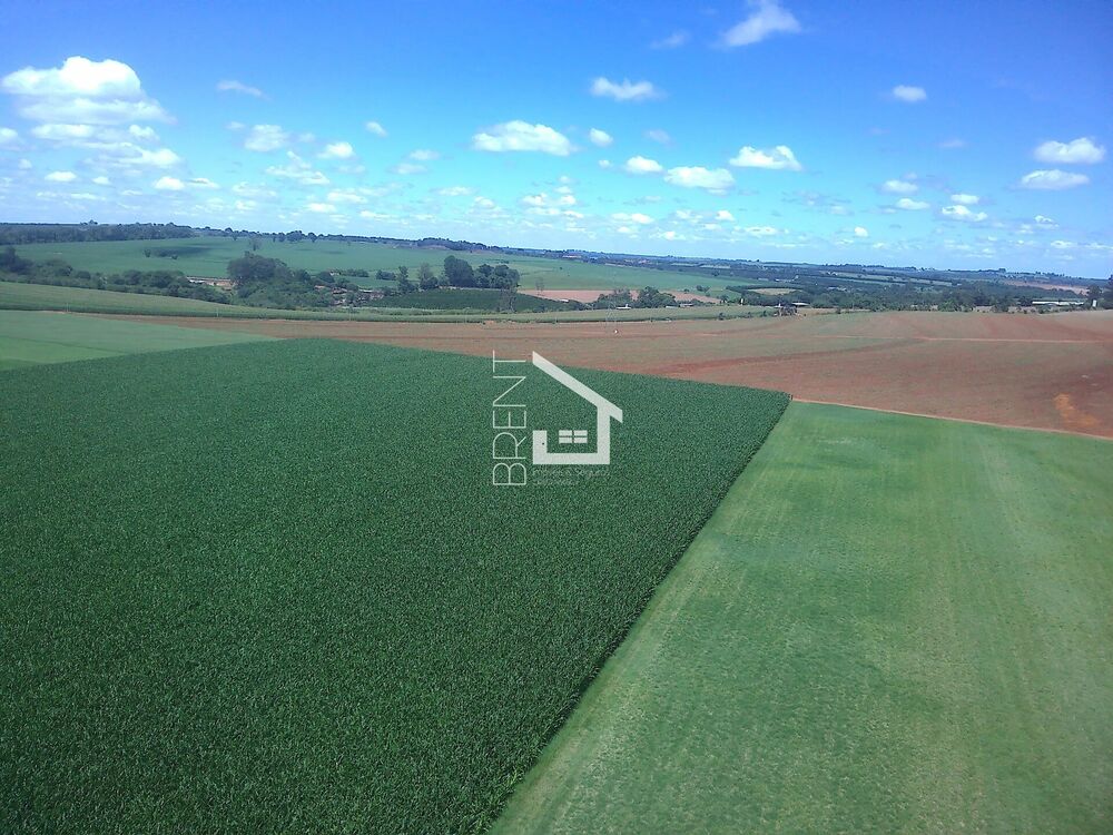 Terreno, 4 hectares - Foto 1