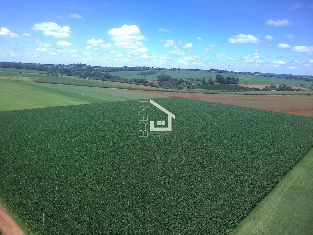 Terreno, 4 hectares - Foto 2