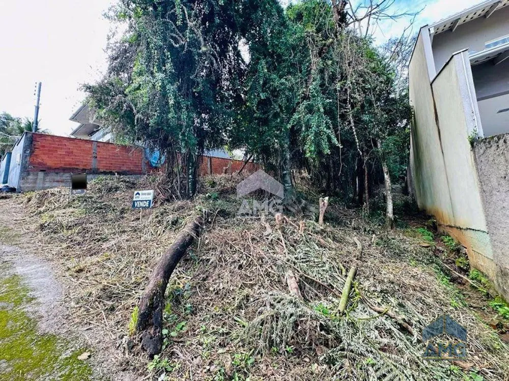 Terreno, 682 m² - Foto 6
