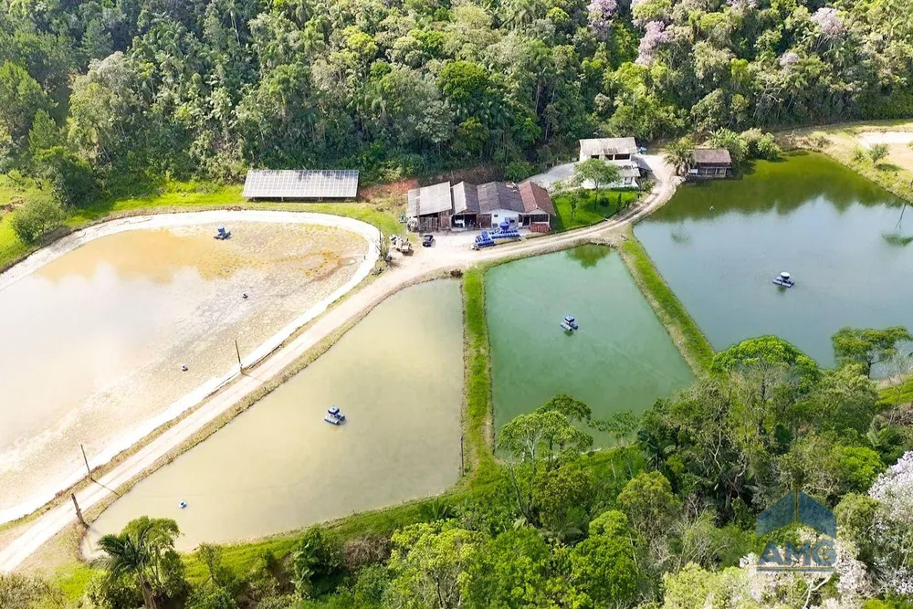 Sítio, 3 quartos, 43 hectares - Foto 6
