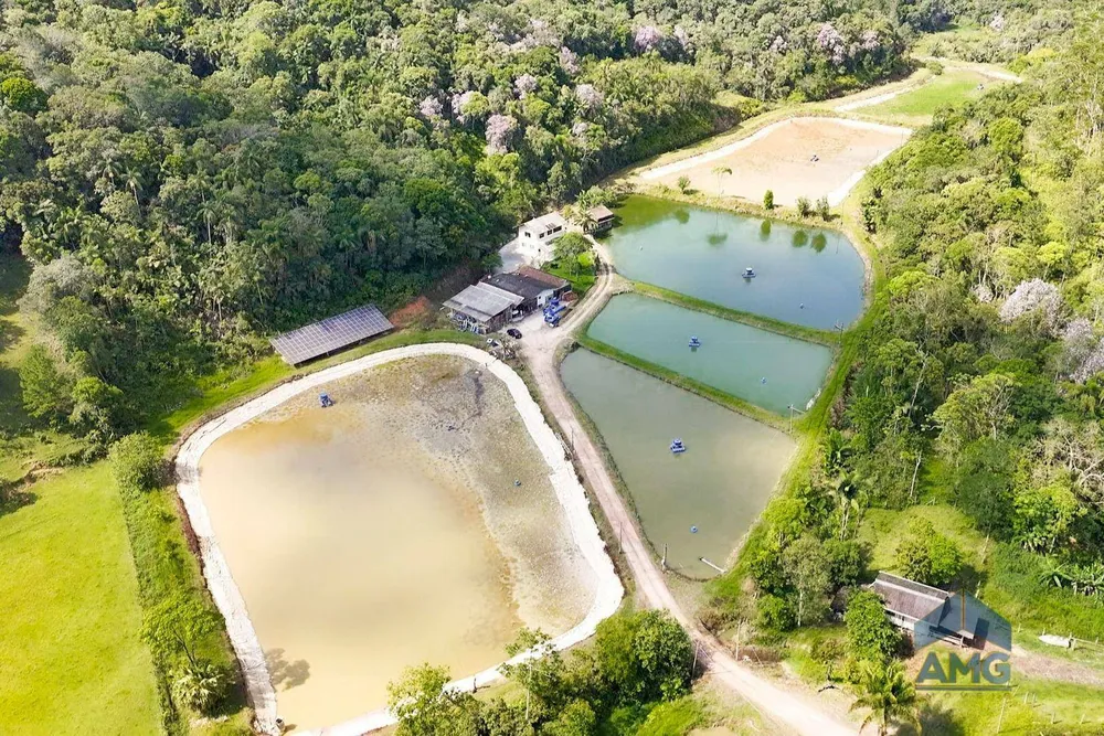 Sítio, 3 quartos, 43 hectares - Foto 7