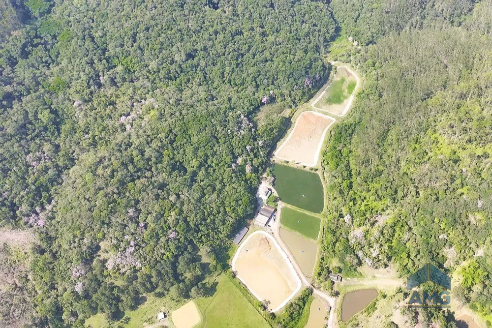 Sítio, 3 quartos, 43 hectares - Foto 1