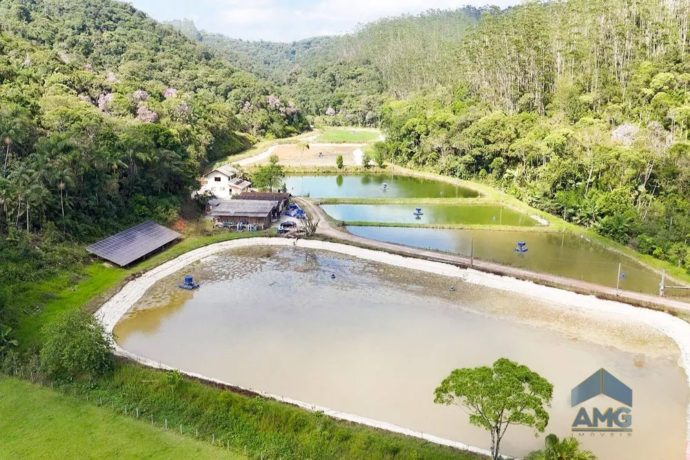 Sítio, 3 quartos, 43 hectares - Foto 8