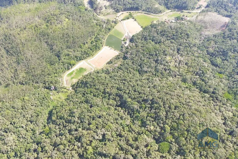 Sítio, 3 quartos, 43 hectares - Foto 3