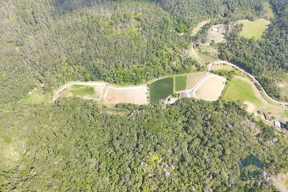Sítio, 3 quartos, 43 hectares - Foto 4