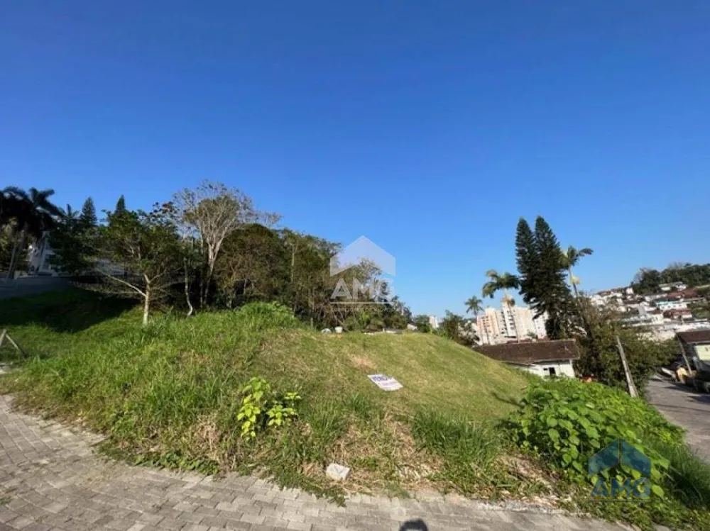 Terreno, 2222 m² - Foto 3