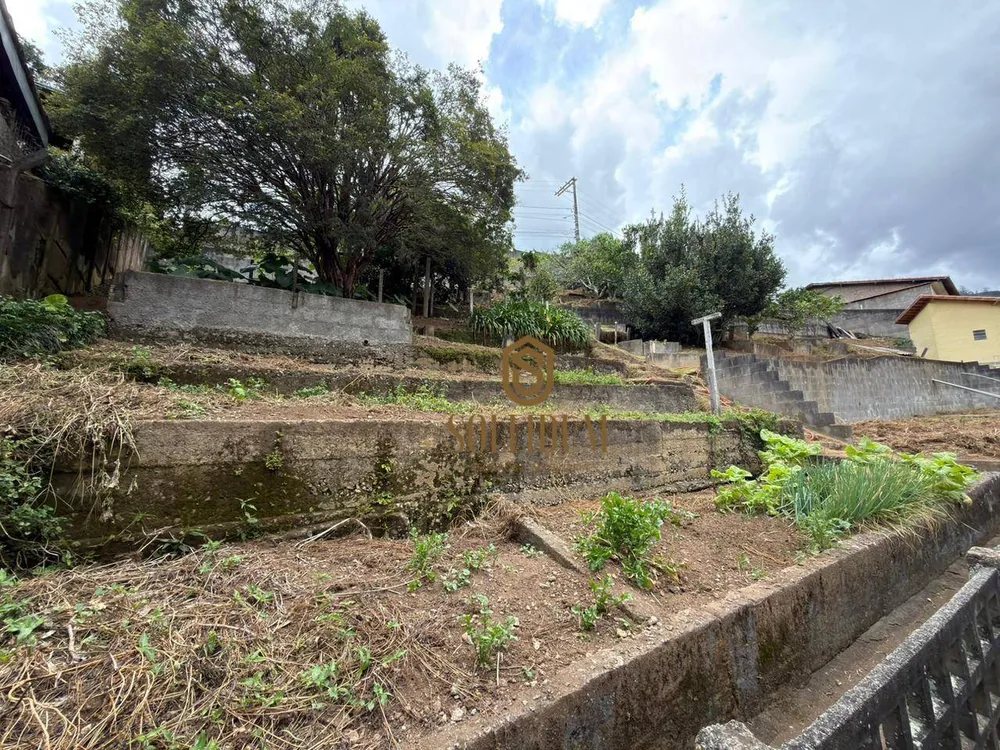 Casa, 5 quartos, 488 m² - Foto 21