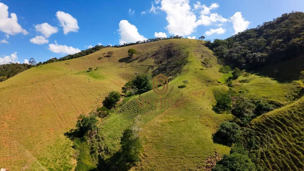 Fazenda, 194 hectares - Foto 8