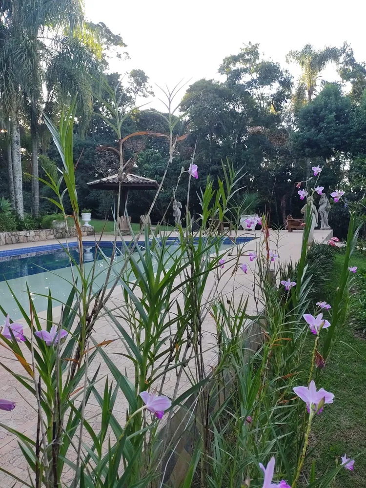 Chácara, 2 quartos, 4 hectares - Foto 1