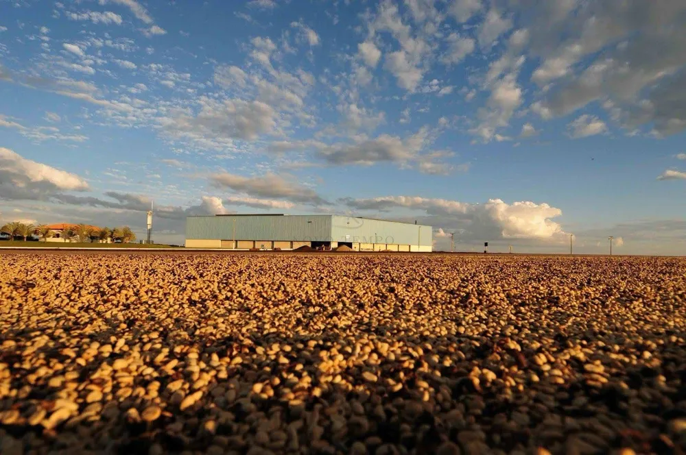 Fazenda, 5300 hectares - Foto 1