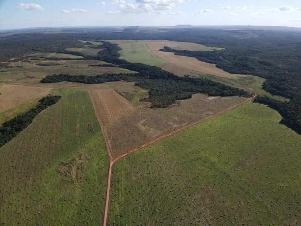 Fazenda, 1800 hectares - Foto 4