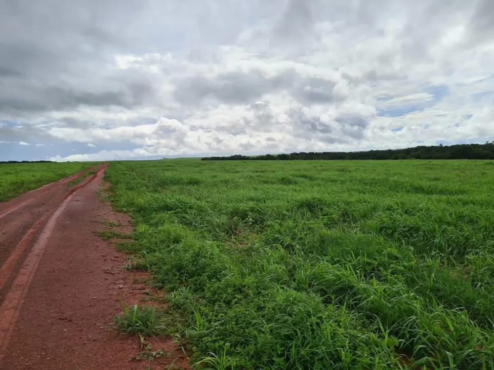 Fazenda, 1800 hectares - Foto 8
