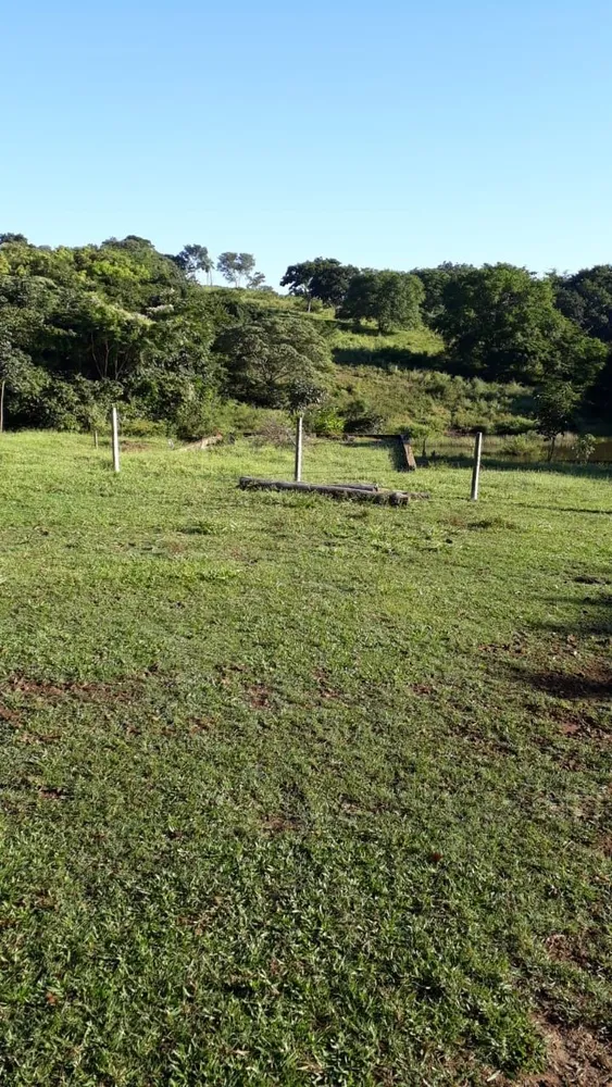 Fazenda, 740 hectares - Foto 6