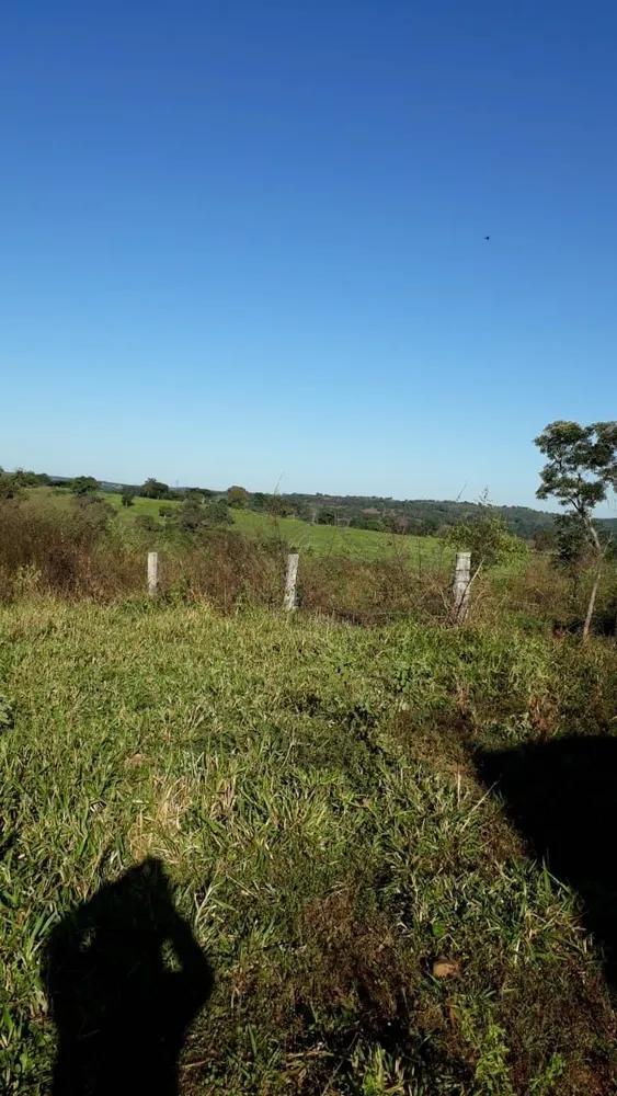 Fazenda, 740 hectares - Foto 1