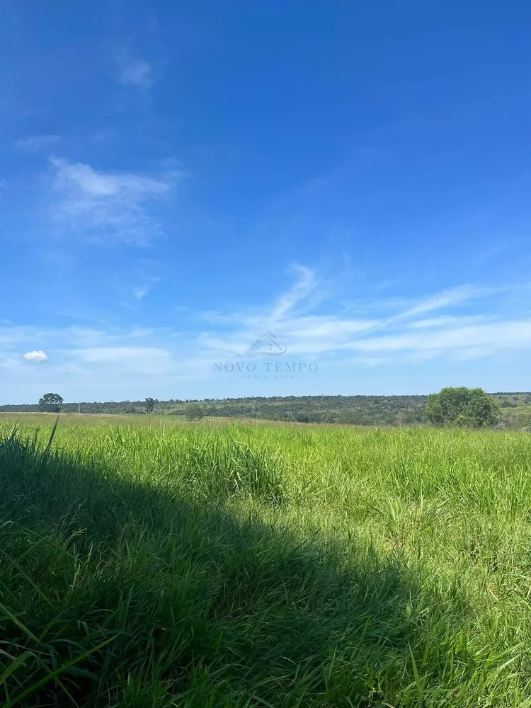 Fazenda, 321 hectares - Foto 2