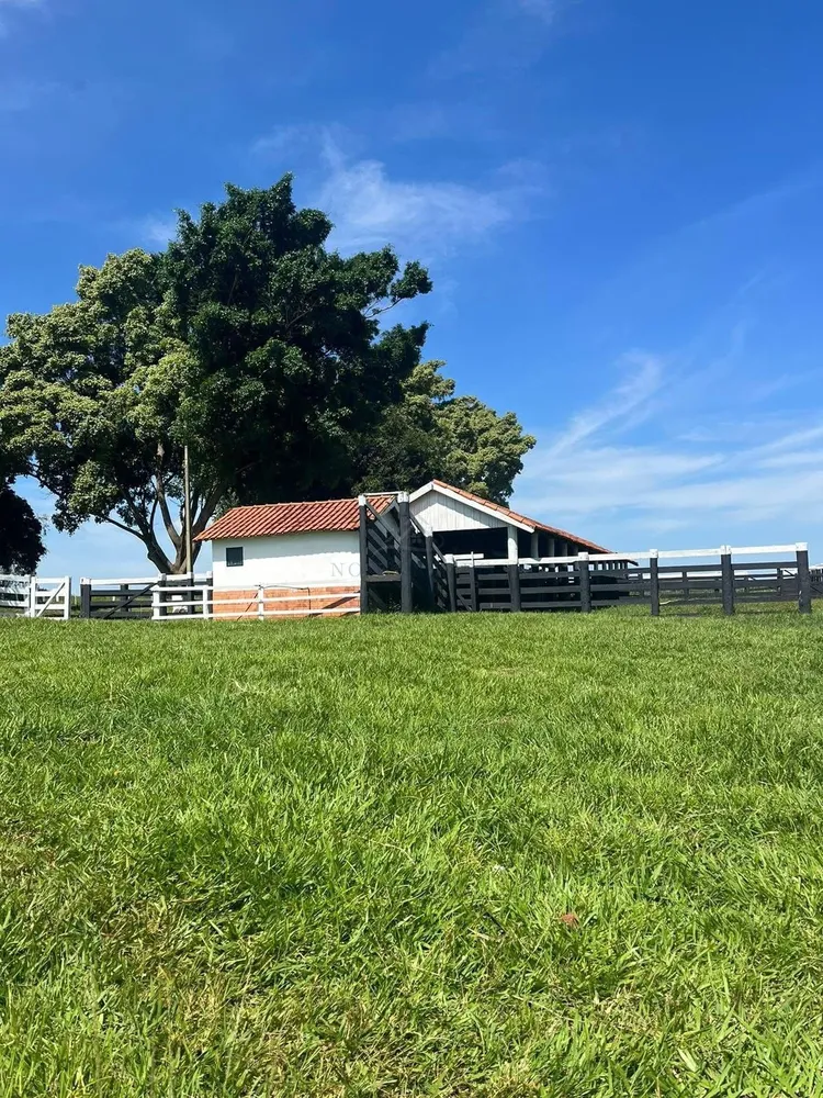Fazenda, 321 hectares - Foto 13