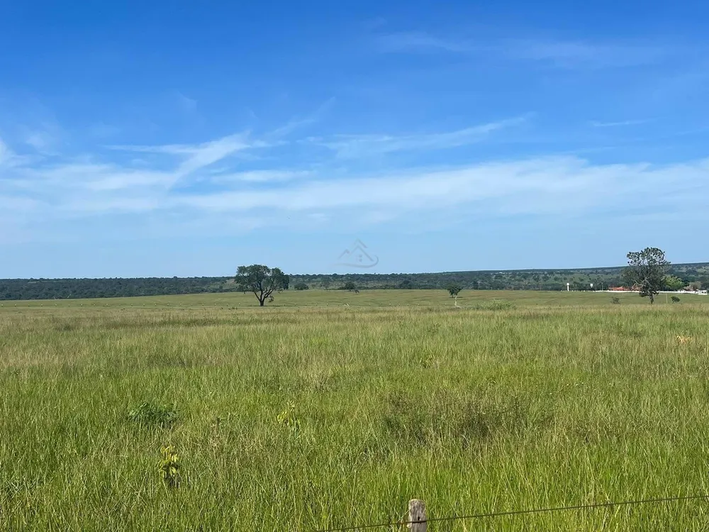 Fazenda, 321 hectares - Foto 11
